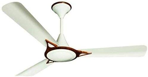 Crompton Avancer Prime 1200mm (48 inch) Decorative Ceiling Fan with Anti Dust Technology (Natural Wood)