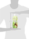 Espree Natürlicher Teebaum und Aloe Shampoo 591ml