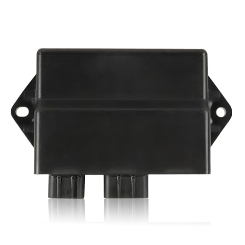 Módulo de encendido motocicleta Yamaha Warrior 350, bobina de alta y caja CDI Raptor