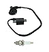 CDI Box for Polaris Sportsman 90 Predator 90 2003-2006 0451018 with Ignition Coil Spark Plug Starter Solenoid Relay Parts