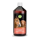 Kräuterhaus Sanct Bernhard