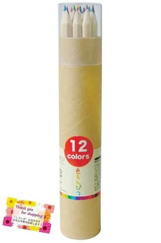 y^P[XŎ^тɕ֗Iz 12F҂ ^P[X Lbv͓vX`bN ML G` ct w 18cm