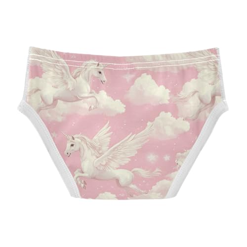 Winged Unicorns Boys' Underwear Cotton Clouds Boys Briefs Soft Toddler Underwear 2T2