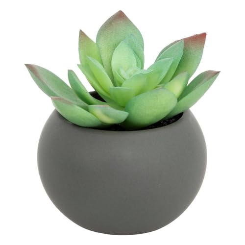 Atmosphera - Plante grasse en Pot H13 - Modèle g/Gris