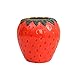 Wnvivi Strawberry Ceramic Vase,Fruit Shape Flower Pot,Decorative Strawberry Planter,Assorted Strawberry Shape Container for Home Garden Decor-M