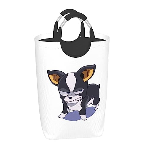 h[oXPbg WW̊Ȗ` h[ 󂩂 h[{bNX [{bNX h[obO {bNX [obO 󕨓 h[[ ߗގ[ e  t Q h[