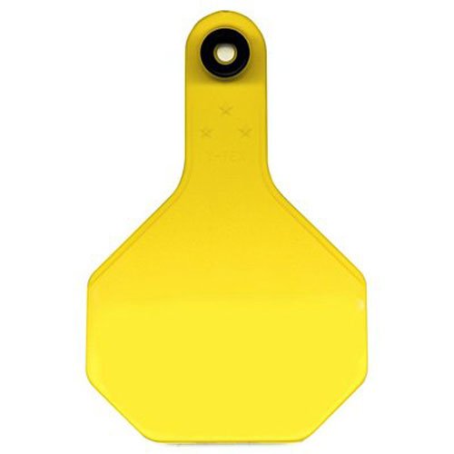 Y-TEX Medium Jaune Blank Tag boucle d'oreille agricole pour élevage bovin - 3