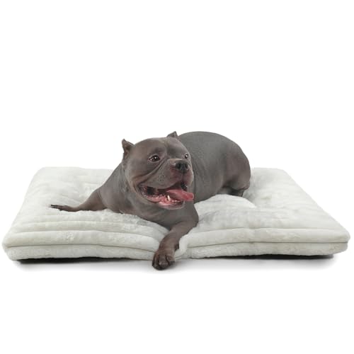 36�C���` ���p�N���[�g�x�b�h ���^�����^���p�x�b�h�A�N���[�g�܂��̓P�[�W�p�E���g���\�t�g���p�p�b�h ����\ & ����~�ߕt���������p�b�h �y�b�g�p���S�n�̗ǂ��X���[�s���O�}�b�g�A�ӂ�ӂ�ŉ��K�ȃy�b�g�}�b�g���X�N�b�V����(35�C���` x 23�C���`�A