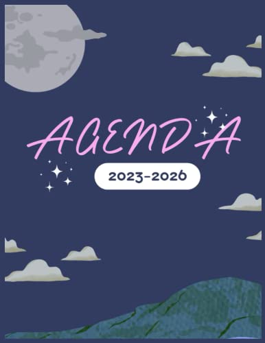 48 Mesi Agenda 2023-2026: Agenda 4 Anni, Vista Verticale, 48 mesi da Gennaio 2023 a Dicembre 2026, Calendario dell'anno e Planner Mensile. (Italian Edition)