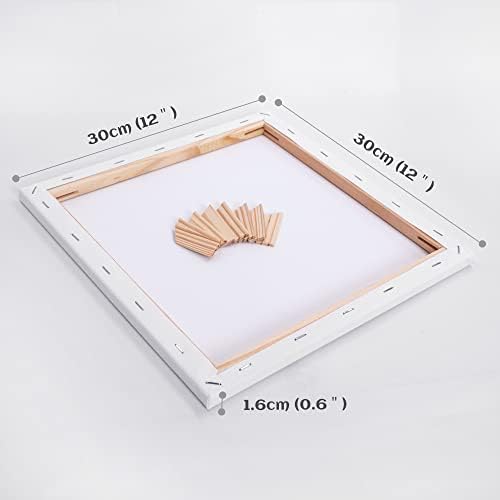 Blank Canvas for Painting 5pcs 11.8x11.8 inches Artist Canvases Frame Board Panels, 100% Cotton Acid Free Triple Primed Medium Grain Professional Artist Canvases for Watercolour Oil Acrylic Painting
