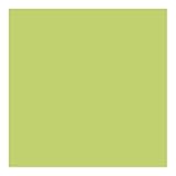 MTN 94 Spray Paint - RV16 - Pistachio Green