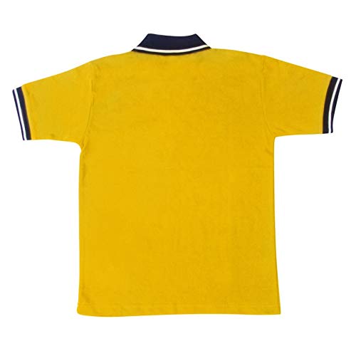 Image of PROLIFE KENDRIYA VIDHYALAYA (KV) School House Tshirts