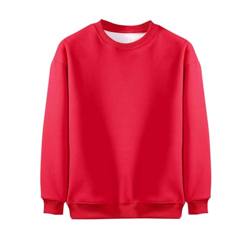 Girls Boys Fleece Lined Pullover Kids Fuzzy Sherpa Lined Sweatshirts Crewneck Long Sleeve Fall Winter Warm Tops