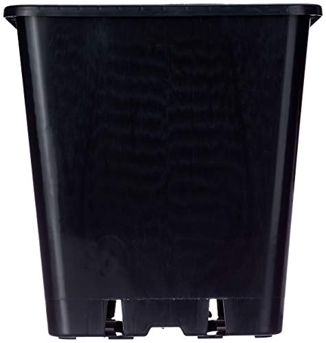 Plant it 25 cm 11 l Pot carré en Plastique – Noir – Image 3