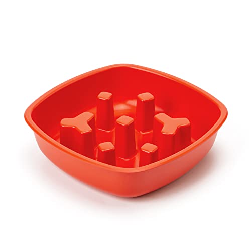 Pawaii Magic Dog Bowls, Slow Feeder Multifunktions-Futter-Wassernapf-Set mit erhöhten Hundenäpfen, Edelstahl-Hundenapf für große Hunde (Slow Feed Insert) Cover