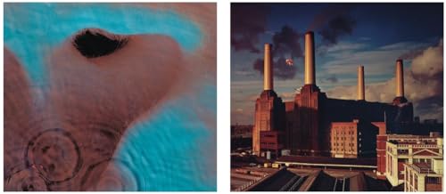 Album Art for Animals / Meddle (2 Vinyl Bundle) by Pink Floyd
