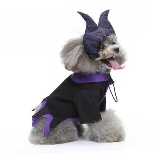 Disfraz de Bruja Halloween para Perro Tamaño L miniatura 6