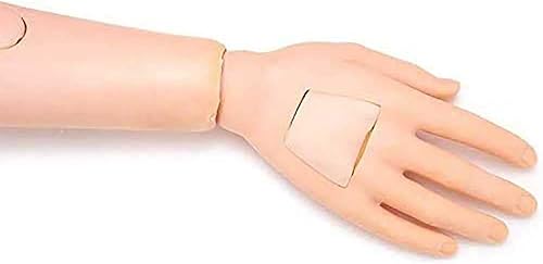 Miniatura 6 de TAKESH Maniquí de cuidado del paciente de tamaño natural de 5.7 pies Combinación multifuncional Hombre y Mujer Modelo Humano Maniquí de Cuerpo