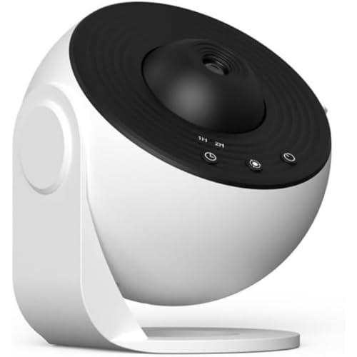 KisigimMNV[X^[Y ALEDiCgCg 12̃tBfBXNt zn//_//Ṽvl^E z[[ {̑l̎q̑/NX}XMtg/xbhTChv/f[g/N[[V (A)