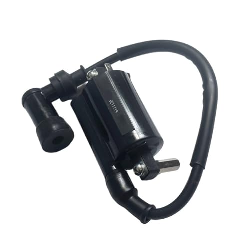 Boîtier CDI et bobine 12V pour réparer l'allumage défaillant de QM200GY DR200