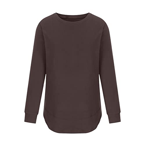 PBNBP Women's Cute Oversized Tunic Tops Long Sleeve Solid Color Blouses Pullover Curved-Hem Crewneck Loose Fit Sweatshirts4