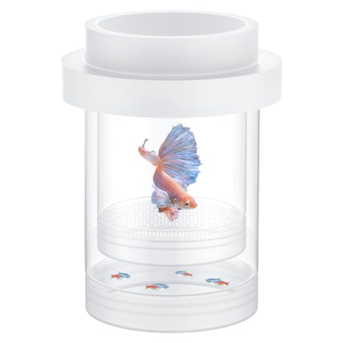 Pawfly Boîte d'élevage pour Aquarium, boîte de Reproduction Flottante pour guppys, séparateur pour alevins, incubateur en Plastique pour crevettes, Betta...
