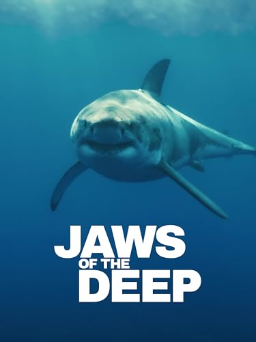 La guarida del tiburón