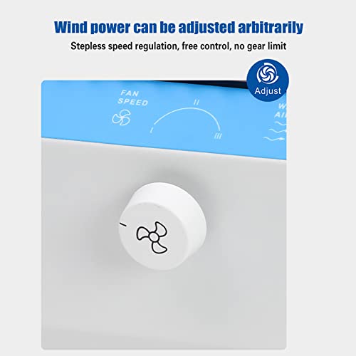 Soplador de aire ionizante 110V con función calentadora miniatura 5