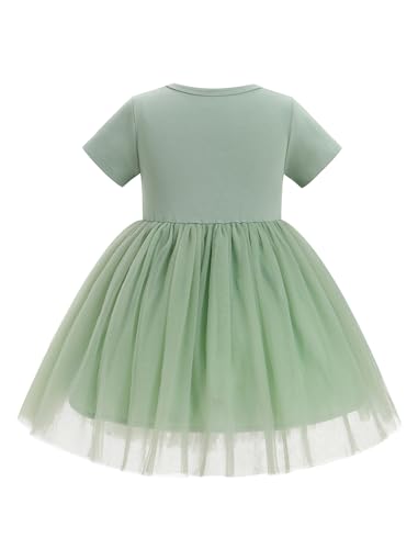 IBTOM CASTLE Baby Girl 1st Birthday Outfit One Year Old Princess Embroidered Tulle Tutu Dress and Headband for Cake Smash3