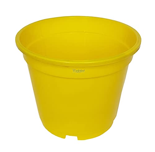 Image of Wonderland 8 inch Set of 3 Big Planter (Plastic Pots for Home Plants) (Yellow)