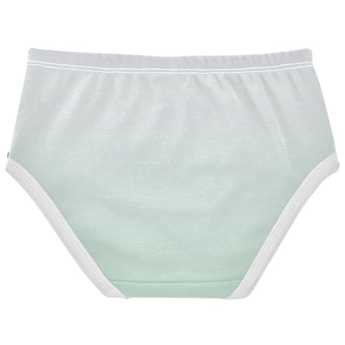 Joisal Cotton Girls Underwear Toddlers Magnolia Horizon Blue Gradient Panties Little Girl Fancy Kids Briefs Undies 2t2