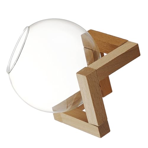 m[uhi nӃfUCKXJNeOX Ȋۋ`W[XJbv ݕΉ z[ p[eB[p