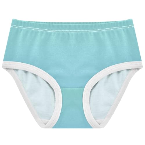 Joisal Cotton Toddler Underwear Floral Green Blue Sky Gradient Panties for Girl Cartoon Briefs Kids Undies 2t - Main Image