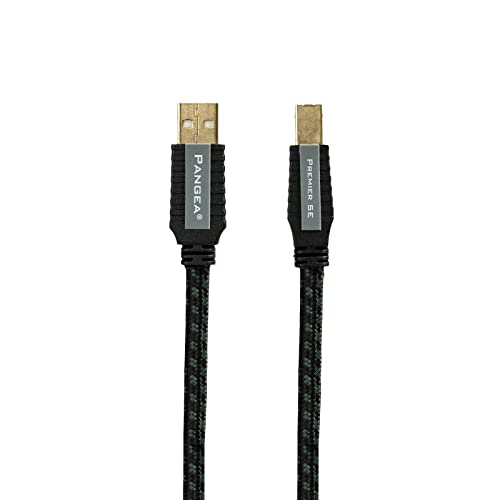 Câble USB Pangea Audio Premier SE MKII 0,5 m relier PC à ampli