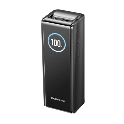 EcoFlow Powerbank Batterie Externe 25000mAh 170W avec Deux Ports 140W,...
