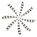 MILUWOND Archery Fletching 4 Inch Parabolic Type Double Side Barred Arrow Feather Arrow fletching for Archery Hunting(50 Pack)