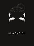 Blackfish