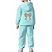 2 Piece Sweatsuit For Girls Leopard Bow Tie Printed Sports Oversized Sweatsuit Sports Fashion Trendy Valentine'S Day Outfit Mint Green,2 Years