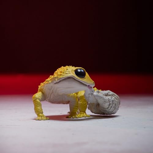 Gecko Léopard AMITD figurine réaliste pour décorer sans les contraintes d'un élevage
