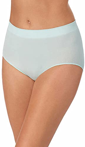 Image of Carole Hochman Women's Underwear Silky Soft Seamless Full Coverage Modern Brief Panties 5 Pack Multipack Regular & Plus Sizes