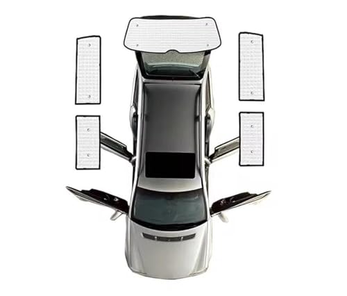 Pare-soleil pour VW Multivan T5 contre la chaleur et les regards indiscrets