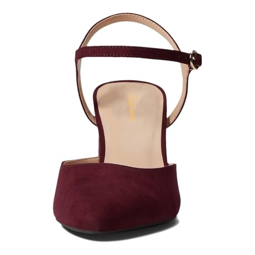 Tang'scuisins Women Stylish Ankle Strap Buckle Pumps Closed Pointed Toe Chunky High Heel Sandals Dressy Party Working Formal Daily Shoes Size 4-16 US2