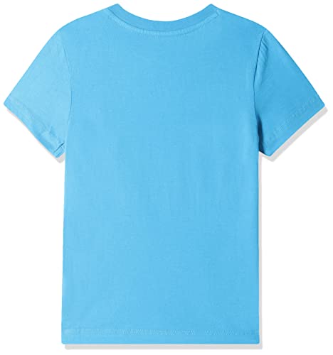 Image of U.S. Polo Assn. Kids Boy's Regular Fit T-Shirt