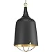 Progress Lighting P500098-031 Era One-Light Pendant, Black