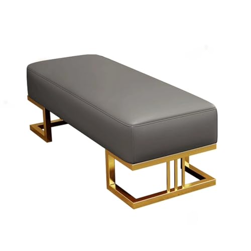 Banc à chaussures d'entrée rembourré en cuir PU avec structure métallique stable - 2