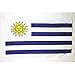 AZ FLAG - Flagge Uruguay - 90x60 cm - Uruguayische Fahne 60 x 90 Cm Feiner Polyester - Flaggen