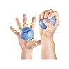 Physical Therapy Hand Exerciser ...