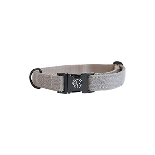 Collier pour petits chiens réglable et facile à laver pour le confort