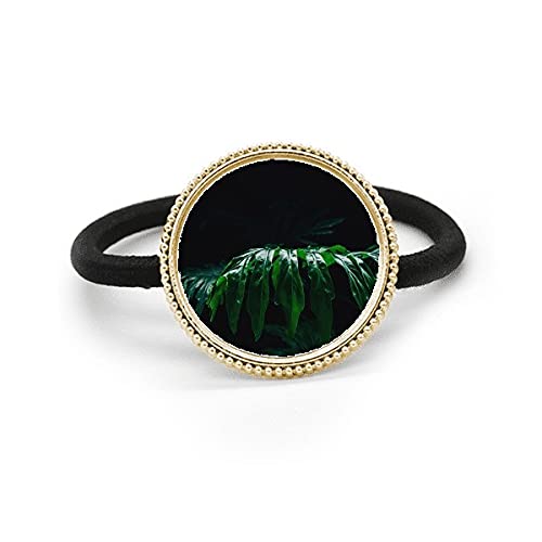 Goma elástica para pelo con tocado de metal plateado en forma de hoja de naturaleza