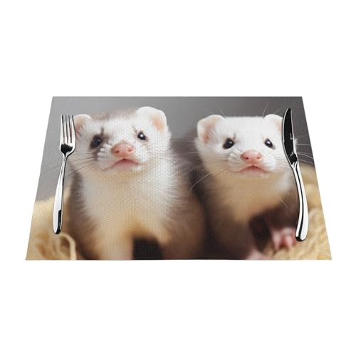 Sets de table en PVC pour repas intérieur et extérieur de jardin - 3